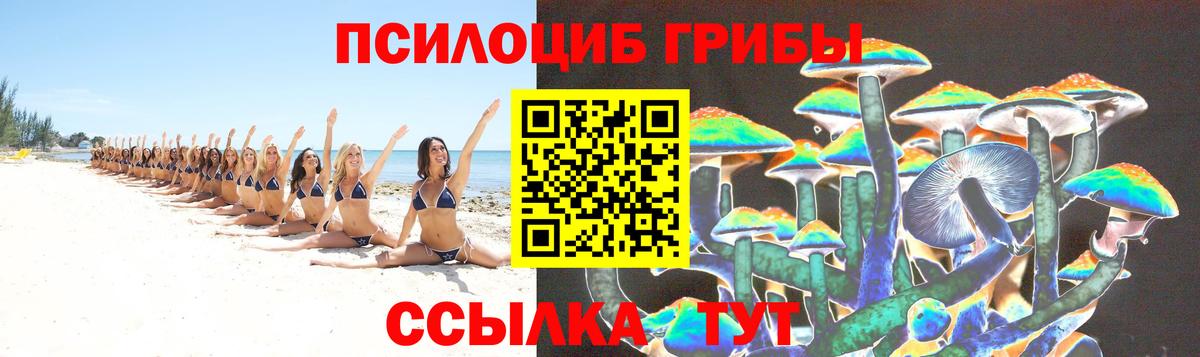 Мирный  Псилоцибиновые грибы прущие грибы  Вход с VPN  Галлюциногенные грибы MAGIC MUSHROOMS 